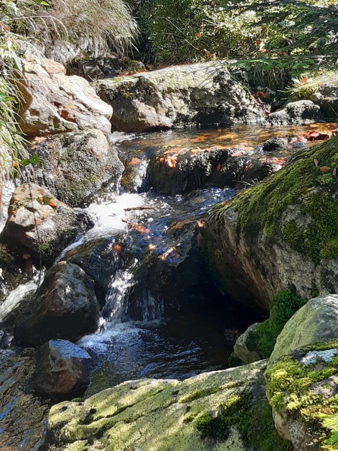 Anno - Wohlfuehlen Am Bachal In Altschoenau Neuschoenau