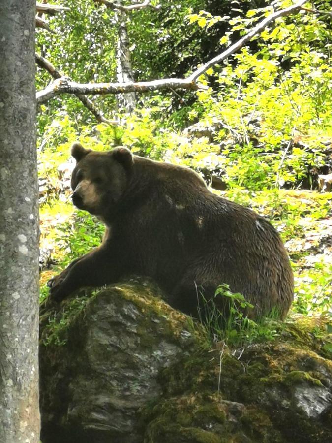 Anno - Wohlfuehlen Am Bachal In Altschoenau Neuschoenau